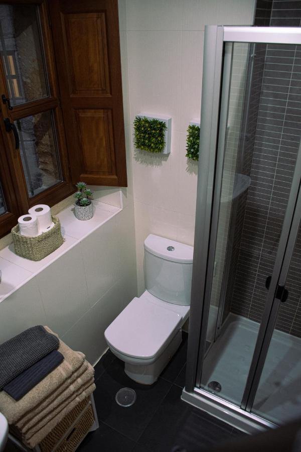 Appartement Apartamento S-Xviii La Ranita Salmantina à Salamanque Extérieur photo